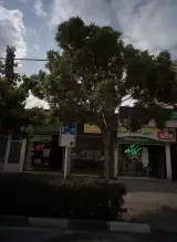دفتر فنی چراغچیان