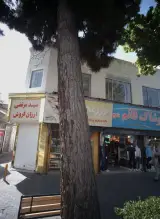 فروشگاه پوشاک سید مرتضی ارزان فروش