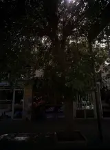 تابلوسازی بیرق