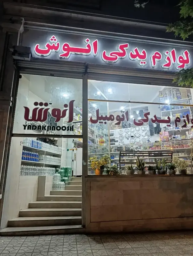 لوازم یدکی انوش