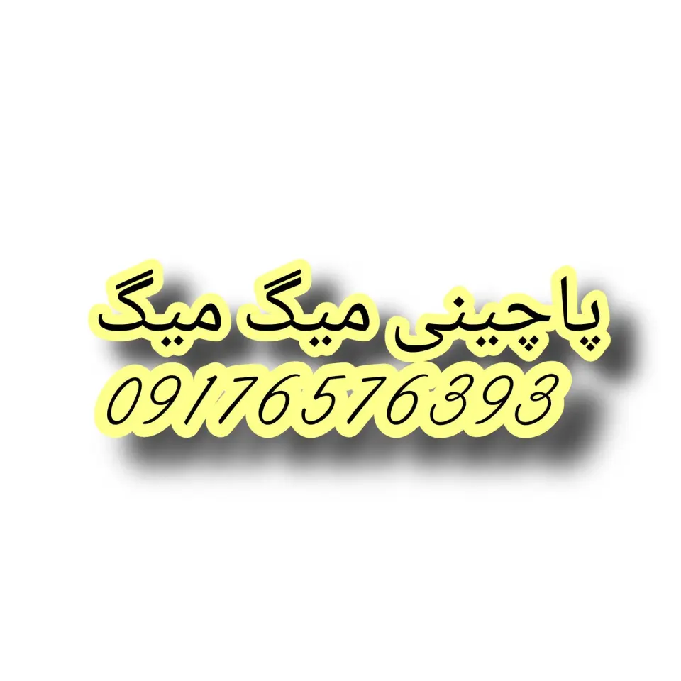 پاچینی میگ میگ