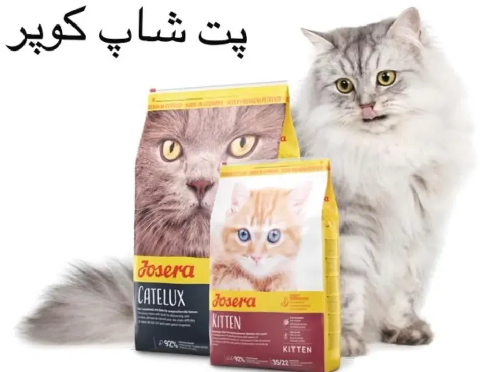 پت شاپ کوپر
