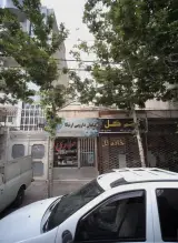 گیاهان دارویی ارنیکا