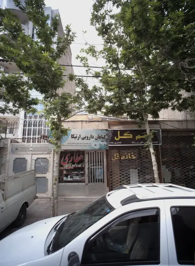 گیاهان دارویی ارنیکا