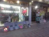 اسپرت قائم