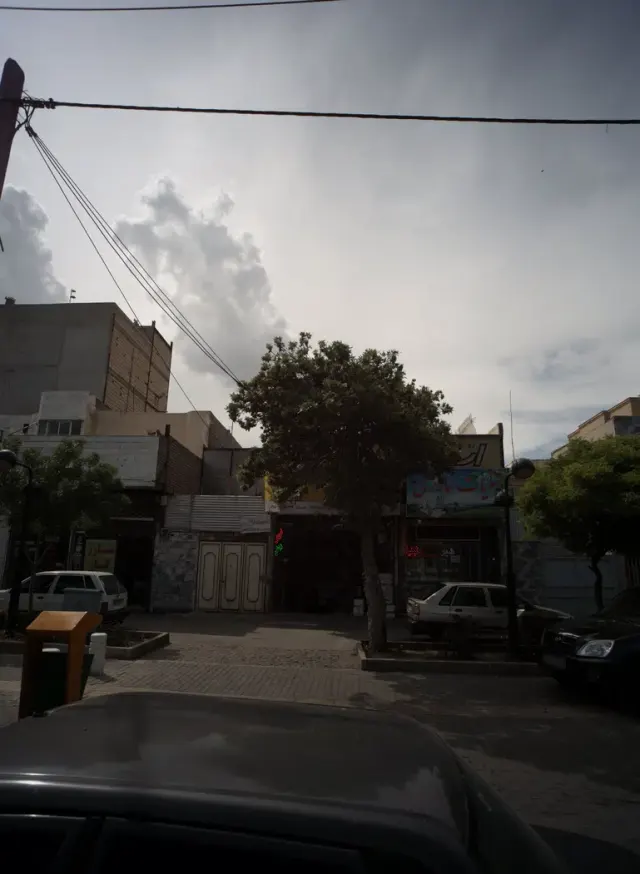 لبنیات سالاری