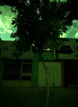 تن پوش