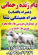 دام زنده رحمانی