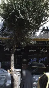 دزدگیر