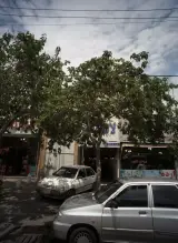 خدمات لاستیک