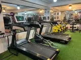 باشگاه بدنسازی طوفان