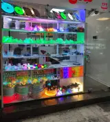 روشنایی و نورپردازی داریانی