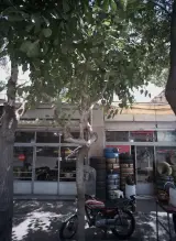 تایر شاهی