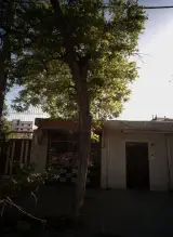 دارو گیاهی پریا...حجامت....بندی