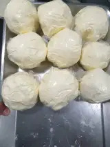 لبنیات سنتی میلاد