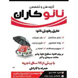 نانو کاران