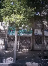گیاهان دارویی سلامت