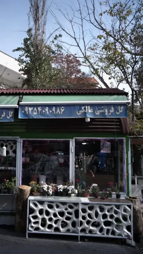 گل فروشی مالکی