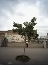 سنگ روحانی
