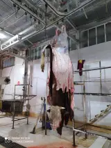 قصابی مزرعه گرین دام