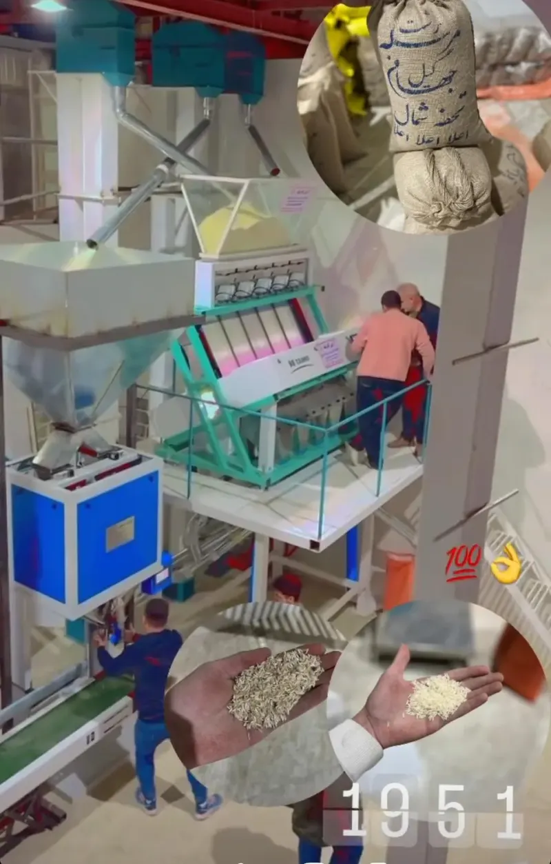 سورتنیگ و بسته بندی جهانی گیل