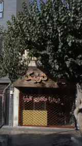 کارنیک
