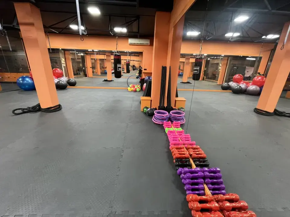 مجموعه ورزشی آنیما Anima gym