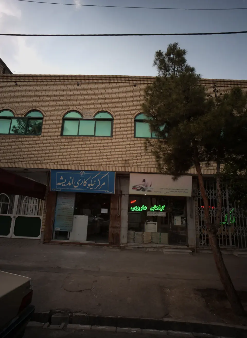 گیاهان دارویی سجاد