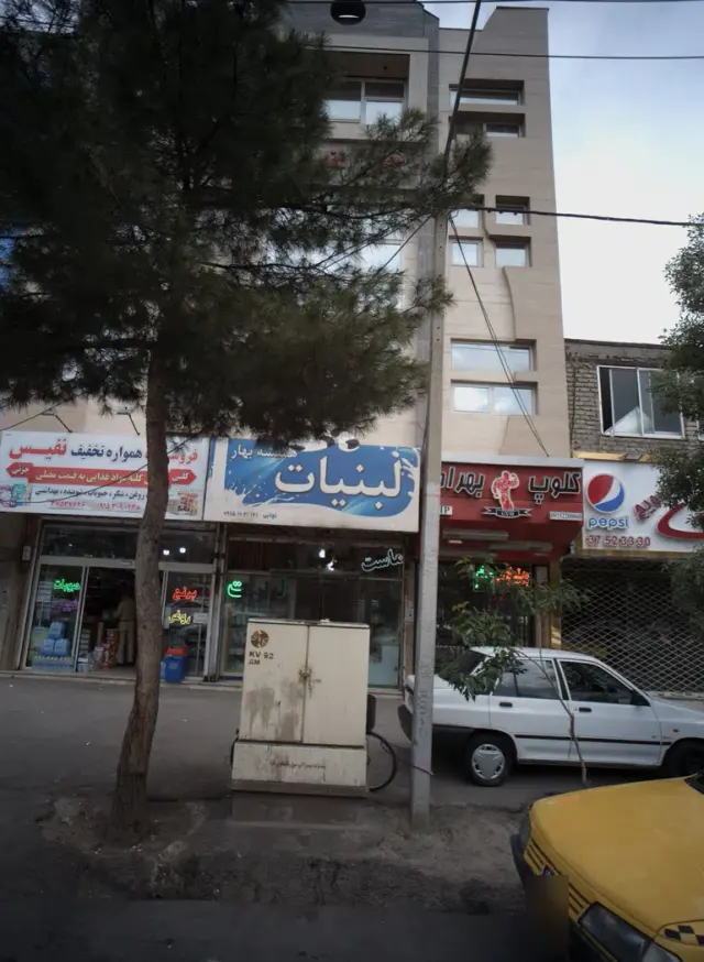 لبنیات همیشه بهار