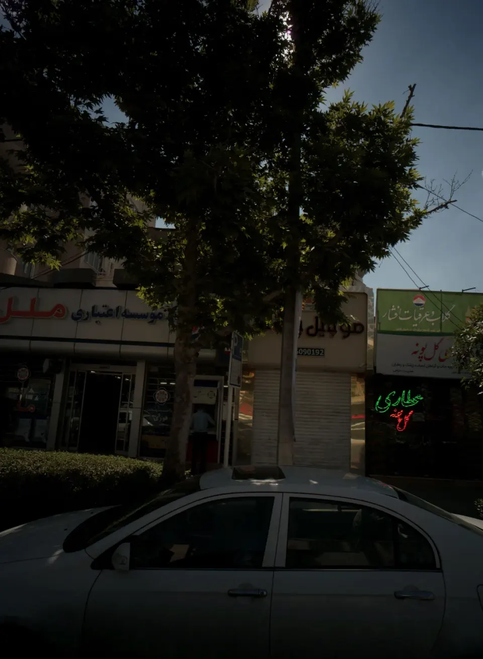 عطاری گل پونه