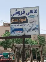 ماهی فروشی ساحل