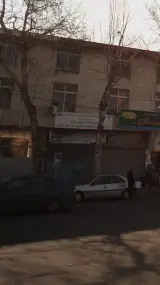 پخش شیشه ماهی