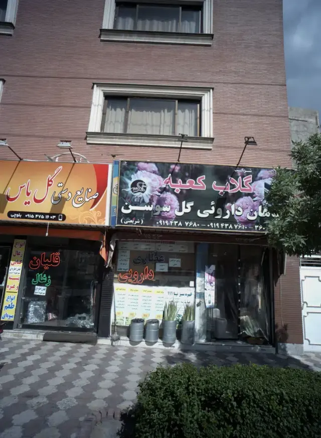 گلاب کعبه