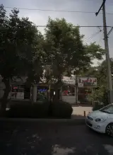 دزدگیر سیستم شهاب