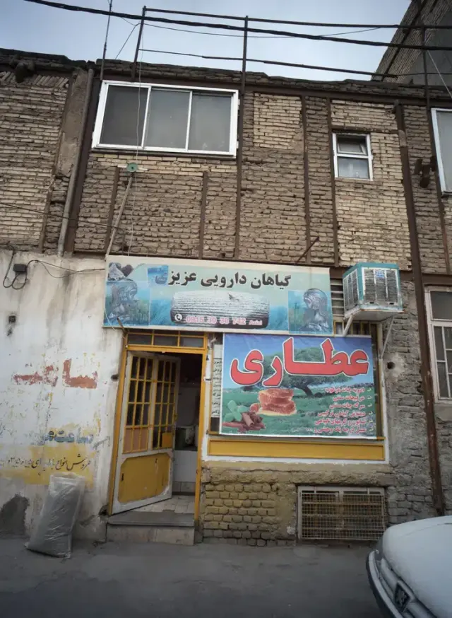 گیاهان دارویی عزیزی