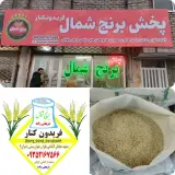 پخش برنج فریدونکنار شریعتی زاده