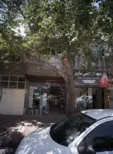 عطاری بلوط