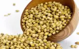 حبوبات فروشی قاسمی