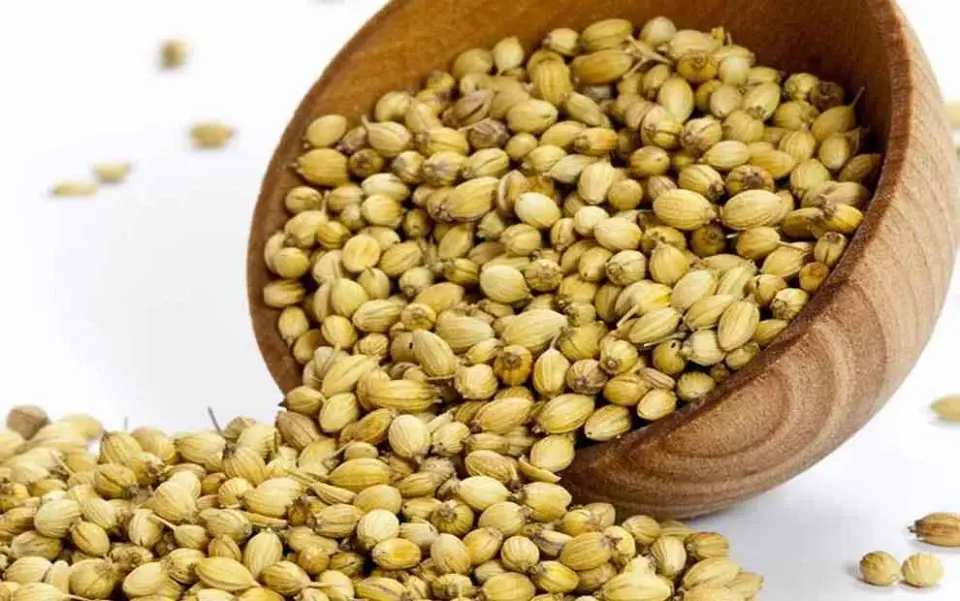 حبوبات فروشی قاسمی