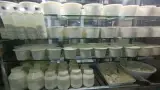 لبنیات سنتی و سکوشیر محسن