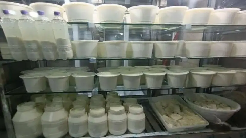 لبنیات سنتی و سکوشیر محسن