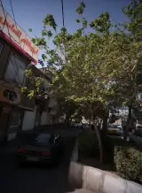 ایزوگام الماس شرق