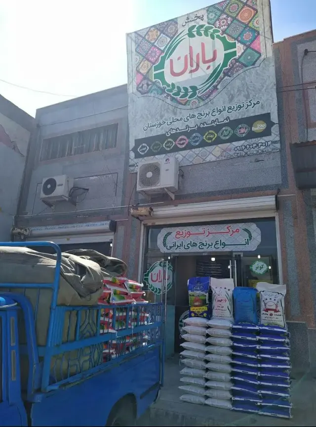پخش برنج باران