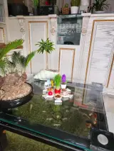 دزدگیر تک امید زنگنه