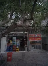 زولبیا بامیه تبریزی