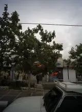لبنیات رضازاده