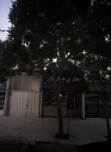 عطاری چهار باغ