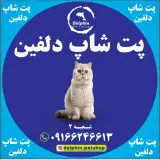 پت شاپ دلفین شعبه کوروش
