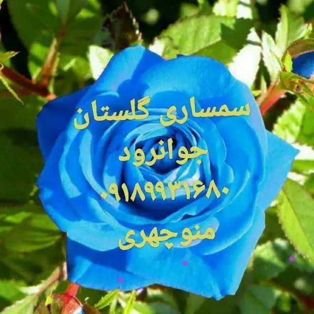 سمساری آنلاین مستر سمسار در تهران