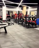باشگاه بدنسازی پاشا